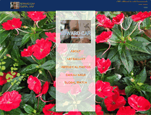 Tablet Screenshot of emirau.asia
